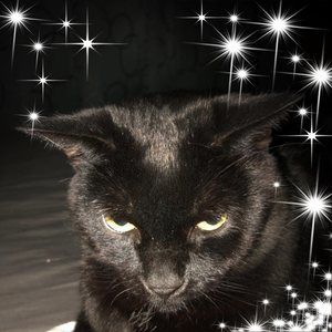 Meet your Posher, Courtney